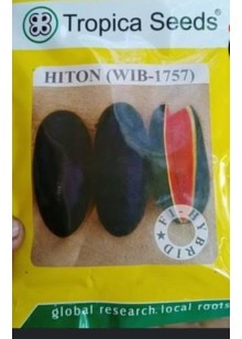 Hiton (WIB-1757)